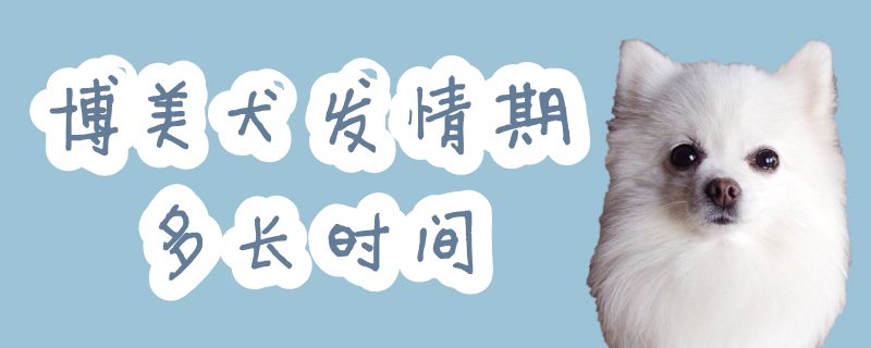 博美犬發(fā)情期多長(zhǎng)時(shí)間
