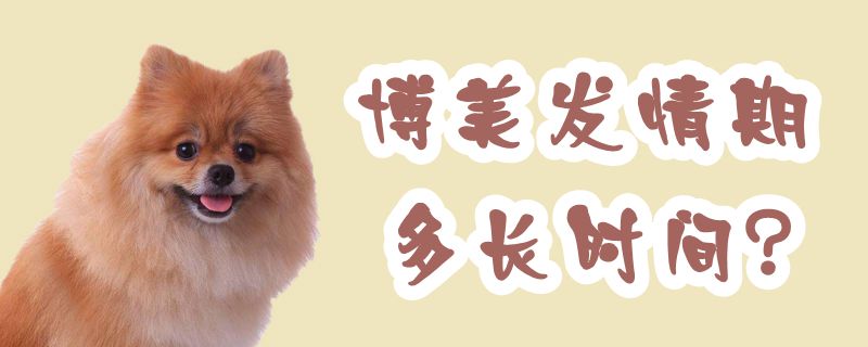 博美發(fā)情期多長(zhǎng)時(shí)間