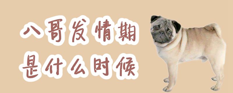 八哥發(fā)情期是什么時候