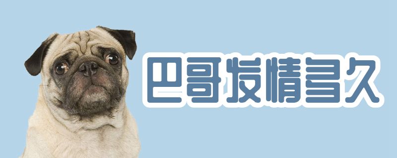 巴哥發(fā)情多久