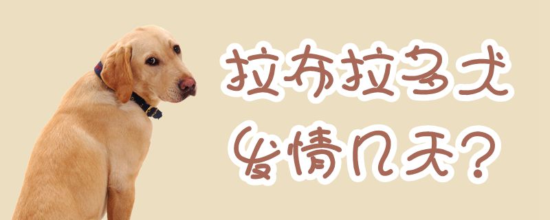 拉布拉多犬發(fā)情幾天