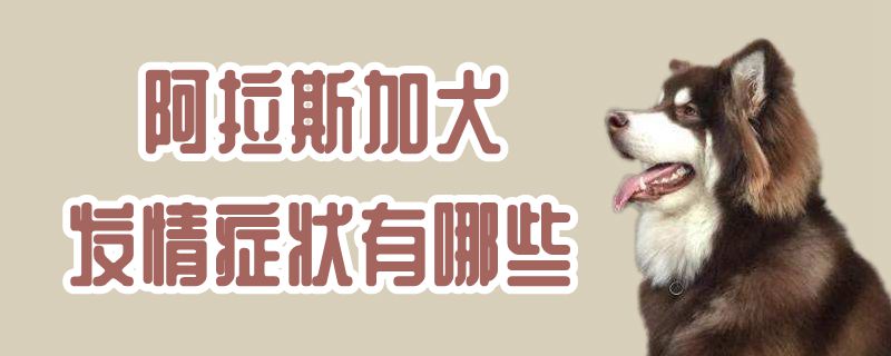 阿拉斯加犬發(fā)情癥狀有哪些