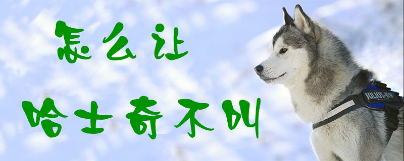 怎么讓哈士奇不叫1