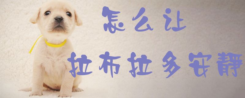 怎么讓拉布拉多安靜1