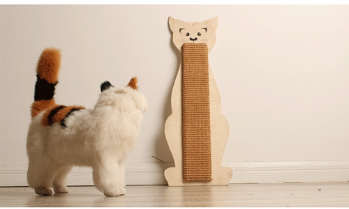 怎么訓(xùn)練貓咪不亂磨爪