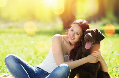 狗狗喜歡主人的表現(xiàn) 狗狗認(rèn)你做主人的表現(xiàn)2