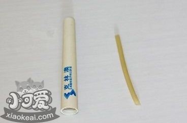 柯基怎么斷尾 柯基犬?dāng)辔步坛?