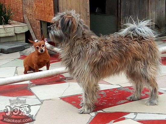 西藏梗牙齒怎么清潔 西藏?？谇蛔o(hù)理流程1