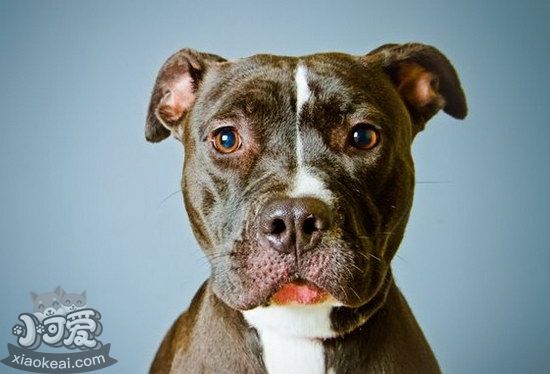 斯塔?？ざ放９Ｅ肯略趺从?xùn)練 斯塔?？ざ放９Ｌ傻褂?xùn)練流程1