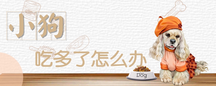 小狗吃多了怎么辦