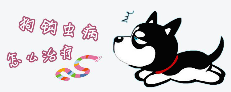 狗鉤蟲病怎么治療