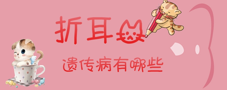 折耳貓遺傳病有哪些