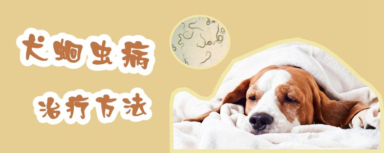 犬蛔蟲病治療方法