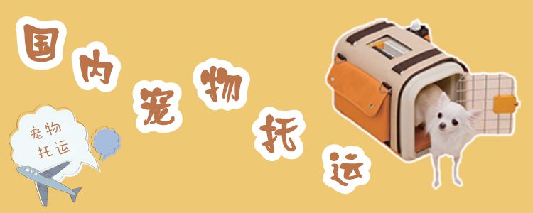 國(guó)內(nèi)寵物托運(yùn)