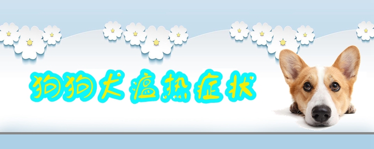 狗狗犬瘟熱癥狀有哪些