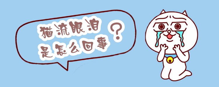 貓流眼淚是怎么回事