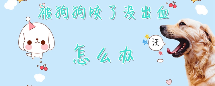 被狗狗咬了沒(méi)出血怎么辦