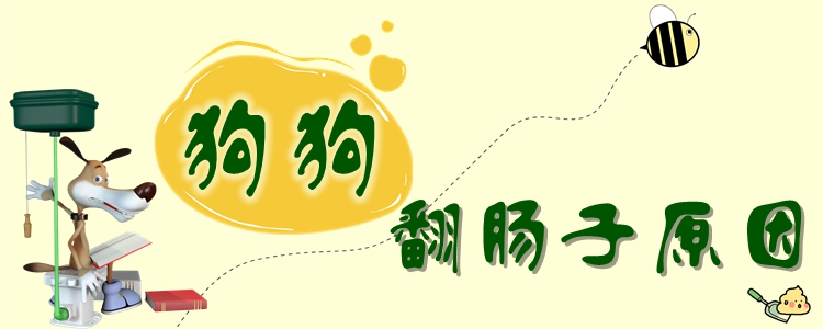狗狗翻腸子的原因