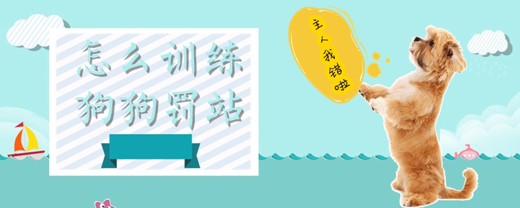 怎么訓練狗狗罰站