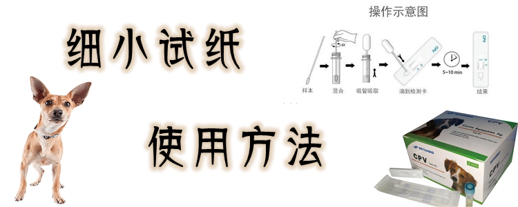 細小試紙使用方法