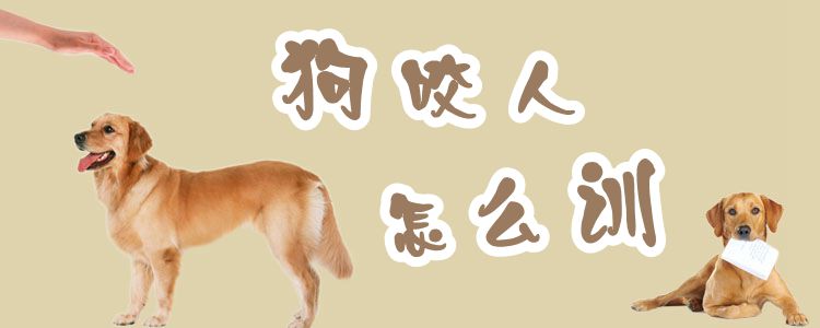 狗咬人怎么訓(xùn)
