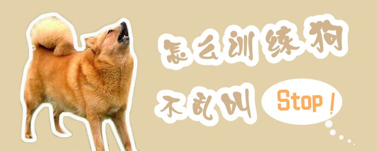 怎么訓(xùn)練狗不亂叫