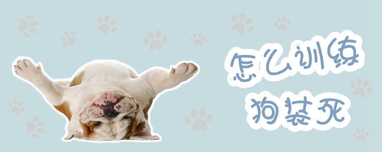 怎么訓(xùn)練狗裝死
