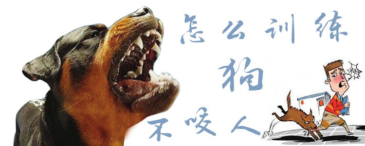 怎么訓練狗不咬人1