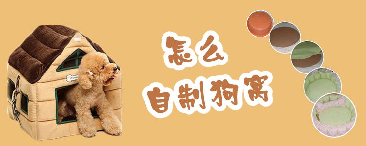 怎么自制狗窩