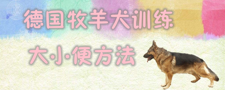 德國(guó)牧羊犬訓(xùn)練大小便有哪些方法