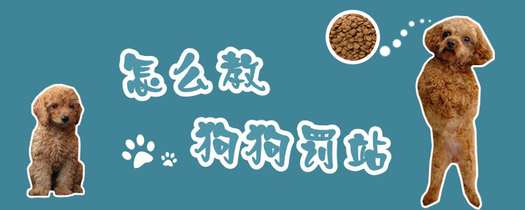 怎么教狗狗罰站