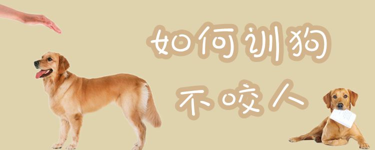 如何訓(xùn)狗不咬人