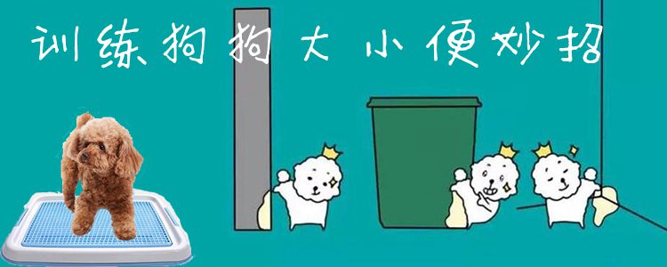 訓練狗狗大小便妙招