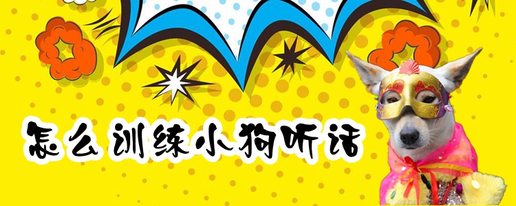 怎么訓(xùn)練小狗聽話