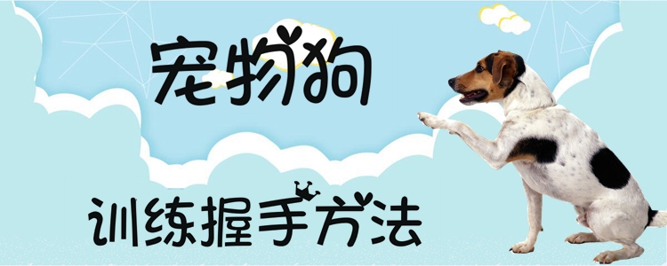 寵物狗訓(xùn)練握手方法