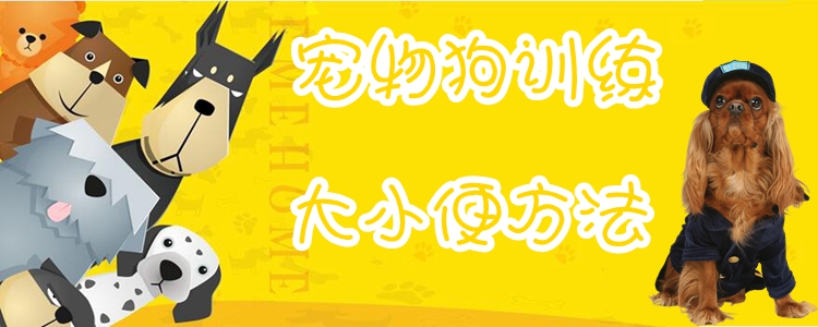 寵物狗訓(xùn)練大小便方法1