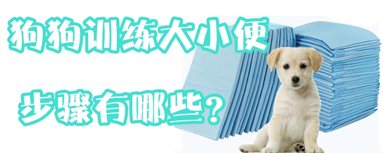 狗狗訓練大小便步驟有哪些