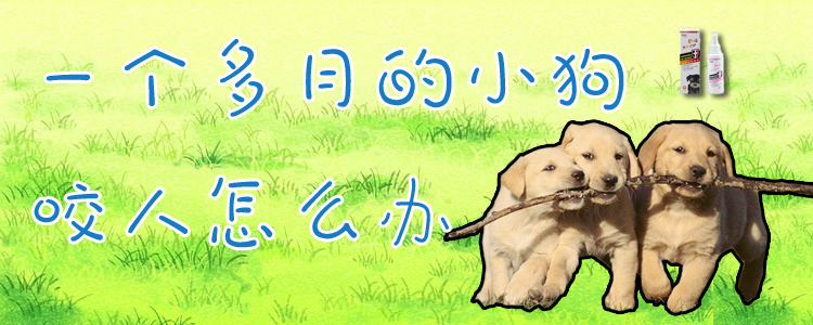 一個(gè)多月的小狗咬人怎么辦