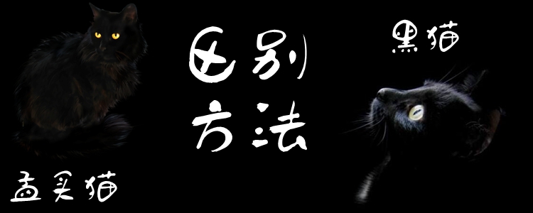 孟買貓和黑貓的區(qū)別方法