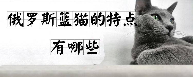 俄羅斯藍(lán)貓的特點(diǎn)有哪些