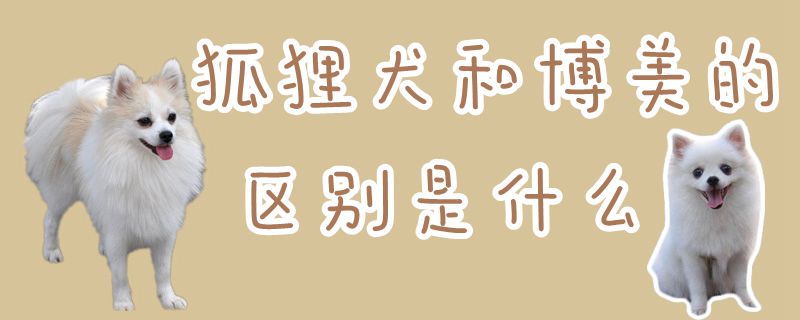 狐貍?cè)筒┟赖膮^(qū)別是什么