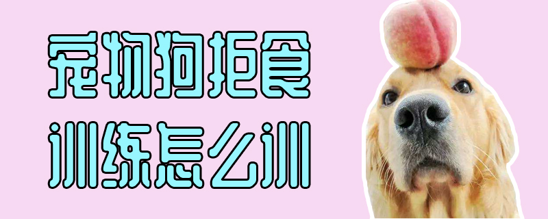 寵物狗拒食訓(xùn)練怎么訓(xùn)