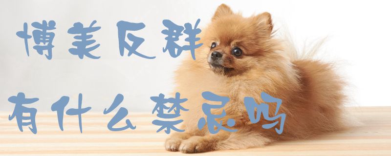 博美反群有什么禁忌嗎1