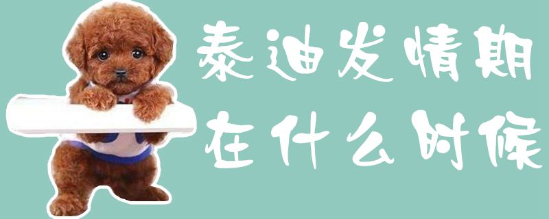 泰迪發(fā)情期在什么時(shí)候1