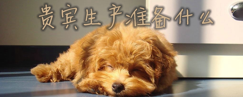 貴賓生產(chǎn)準(zhǔn)備什么