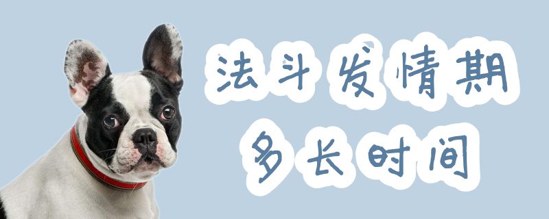 法斗發(fā)情期多長(zhǎng)時(shí)間