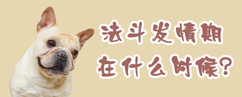 法斗發(fā)情期在什么時(shí)候