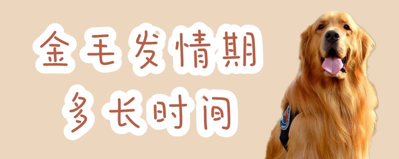 金毛發(fā)情期多長時(shí)間