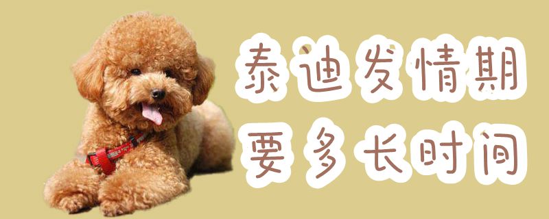 泰迪發(fā)情期要多長時間