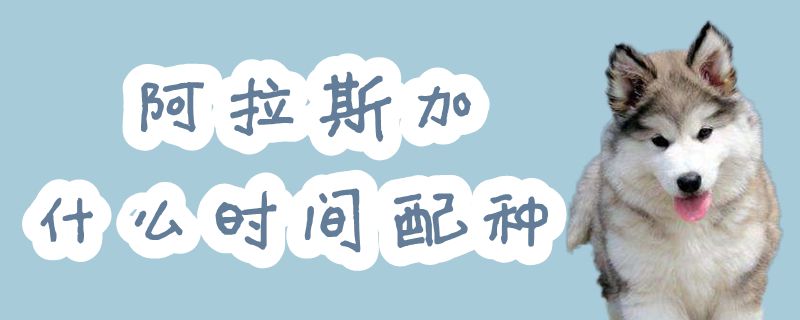阿拉斯加什么時(shí)間配種